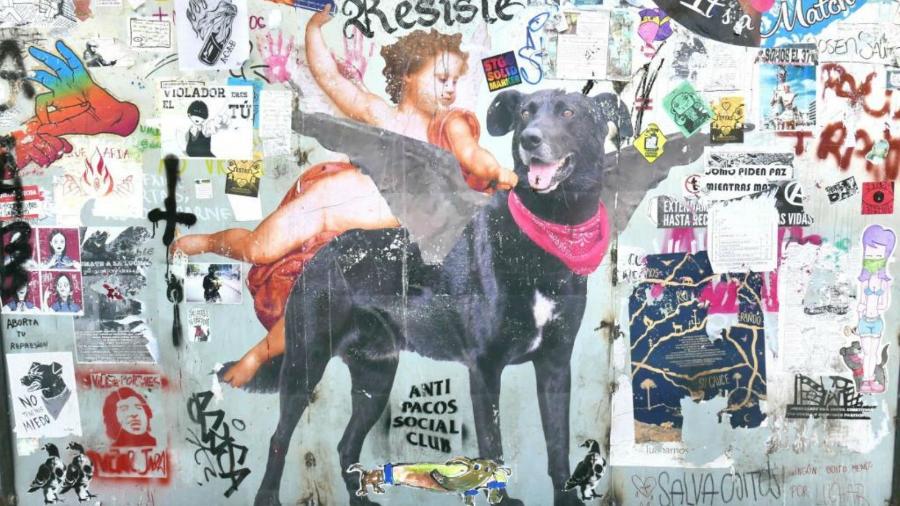 O cão Matapacos virou símbolo dos protestos no Chile - Justine Fontaine/RFI
