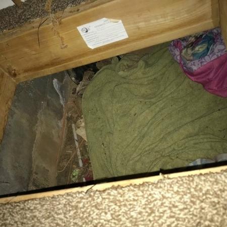 Policiais também encontraram "buraco no chão" em que a garota, desaparecida por 1 semana, passava as noites - Reprodução/Calaveras County Sheriff?s Office