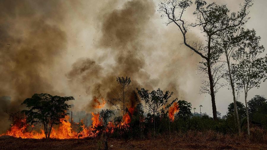Situação climática no Amazonas é 'mais grave do que o imaginado', diz ministro do Meio Ambiente