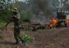 Conheça a unidade militar especial que tenta impedir em solo o desmatamento da Amazônia - Lalo de Almeida/The New York Times