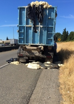 Massa de pão fermentou na caçamba de caminhão por causa do calor nos EUA - Reprodução/Twitter