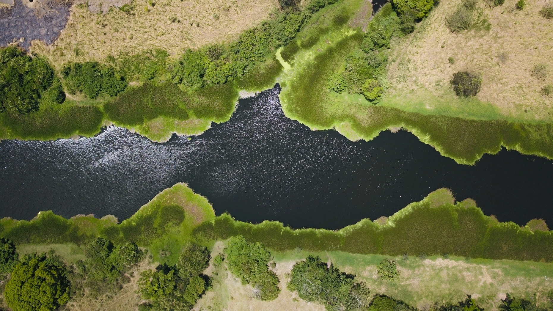 Simon Plestenjak/UOL