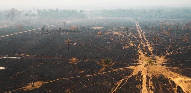 Desmatada e aquecida, Amazônia perde até 50% da capacidade de reciclar água