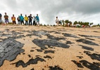 Um ano depois, pescadores ainda sentem impactos de manchas de óleo no NE - Felipe Brasil/Instituto do Meio Ambiente de Alagoas / Divulgação