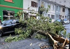 Chuva em SP: Mais de 100 árvores caem e cidade tem áreas alagadas - Murilo Garavello / UOL