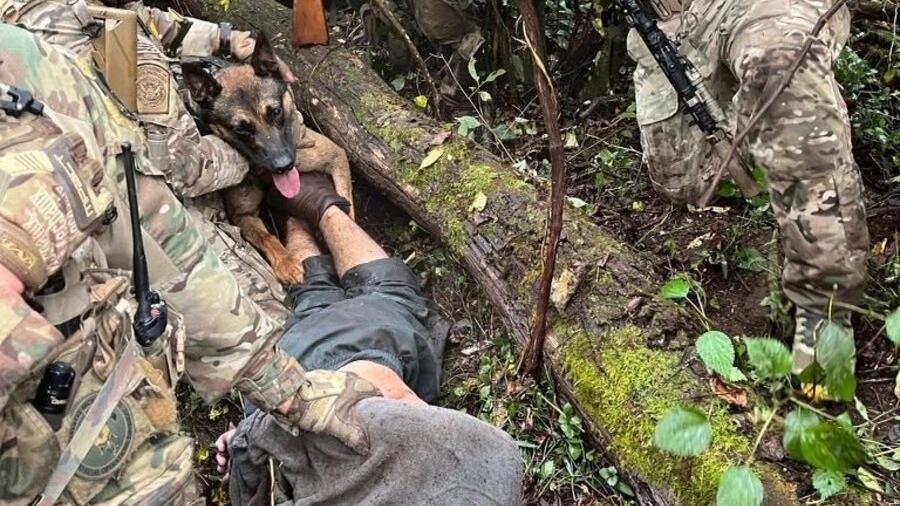 Foto mostra momento em que Danilo Cavalcante é capturado após ser mordido por um cão da polícia nos EUA