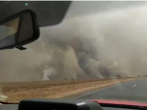 Goiás registra 42 incêndios em um dia e três pessoas são presas