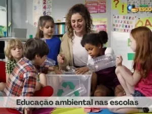 Educação ambiental nas escolas: saiba a importância e veja exemplos