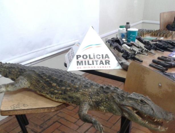 Polícia Militar/MG/Divulgação