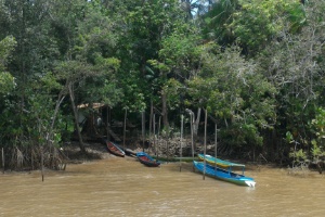 Em Ano De Perdas Natura Corta 30 De Cosmeticos Que Usam Itens Da Amazonia 05 09 16 Uol Economia