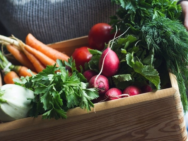 Governo regulamenta nova cesta básica com produtos in natura