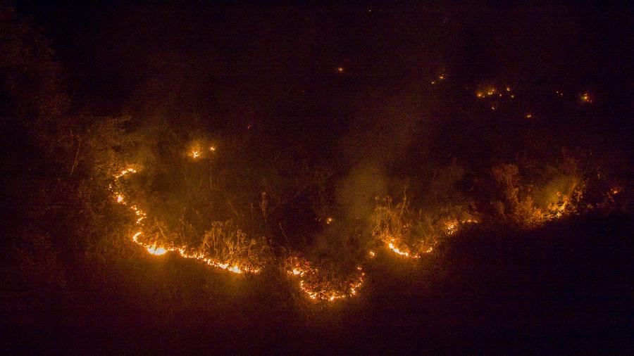 31.jul.2020 - Bombeiros tentam controlar fogo em mata na região de Poconé, Pantanal de Mato Grosso - Chico Ferreira/Futura Press/Estadão Conteúdo