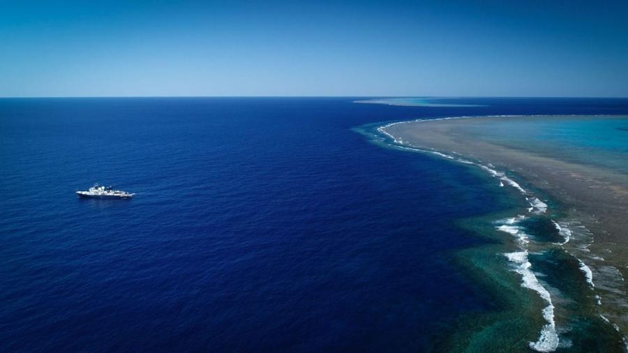 Imenso recife de coral descoberto na Grande Barreira de Corais da Austrália - Dean Miller/Schmidt Ocean Institute/Divulgação