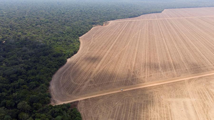 Imagem de drone mostra o limite entre o Parque Nacional do Xingu e as terras agrícolas que circundam a reserva - UESLEI MARCELINO/REUTERS