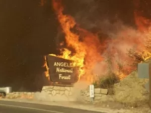 Saiba como está Los Angeles em meio aos incêndios florestais