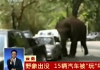 De coração partido, elefante descarrega raiva e destrói carros na China - BBC/Reprodução