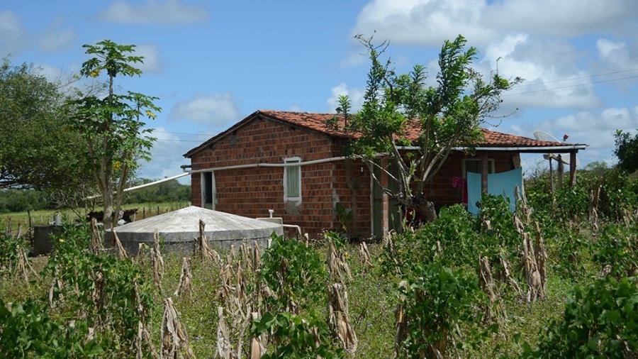 Casas ?na zona rural de Igaci contempladas com cisterna do governo federal - Beto Macário/UOL