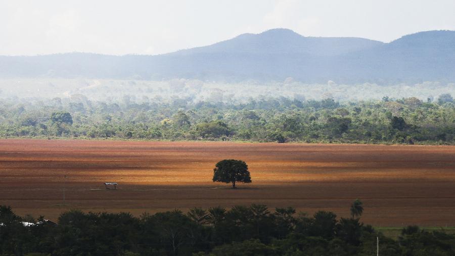 Área de Cerrado desmatada para plantio no município de Alto Paraíso (GO) - Marcelo Camargo/Agência Brasil