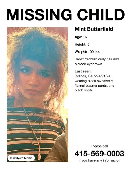 Cartaz de desaparecimento de Mint Butterfield