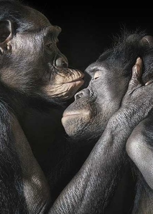 Tim Flach