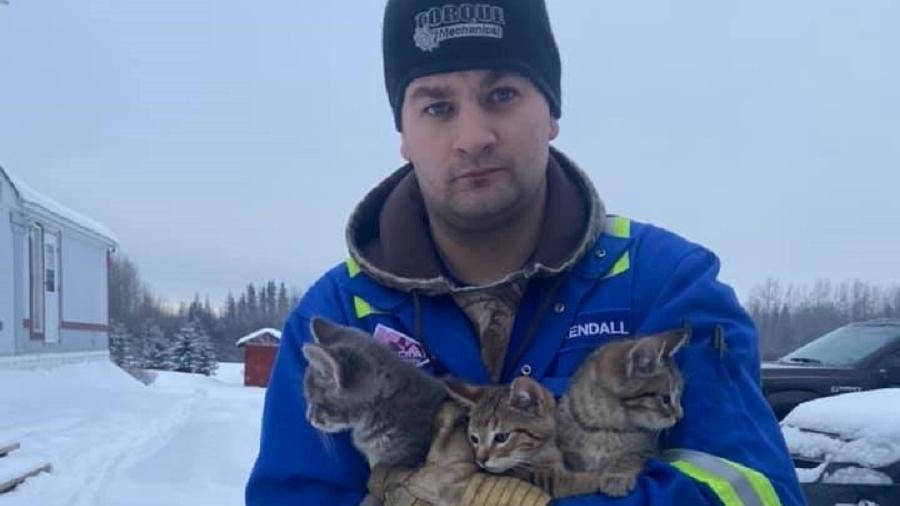 O canadense Kendall Diwisch usou café para descongelar patas de gatos na neve - Reprodução/Facebook