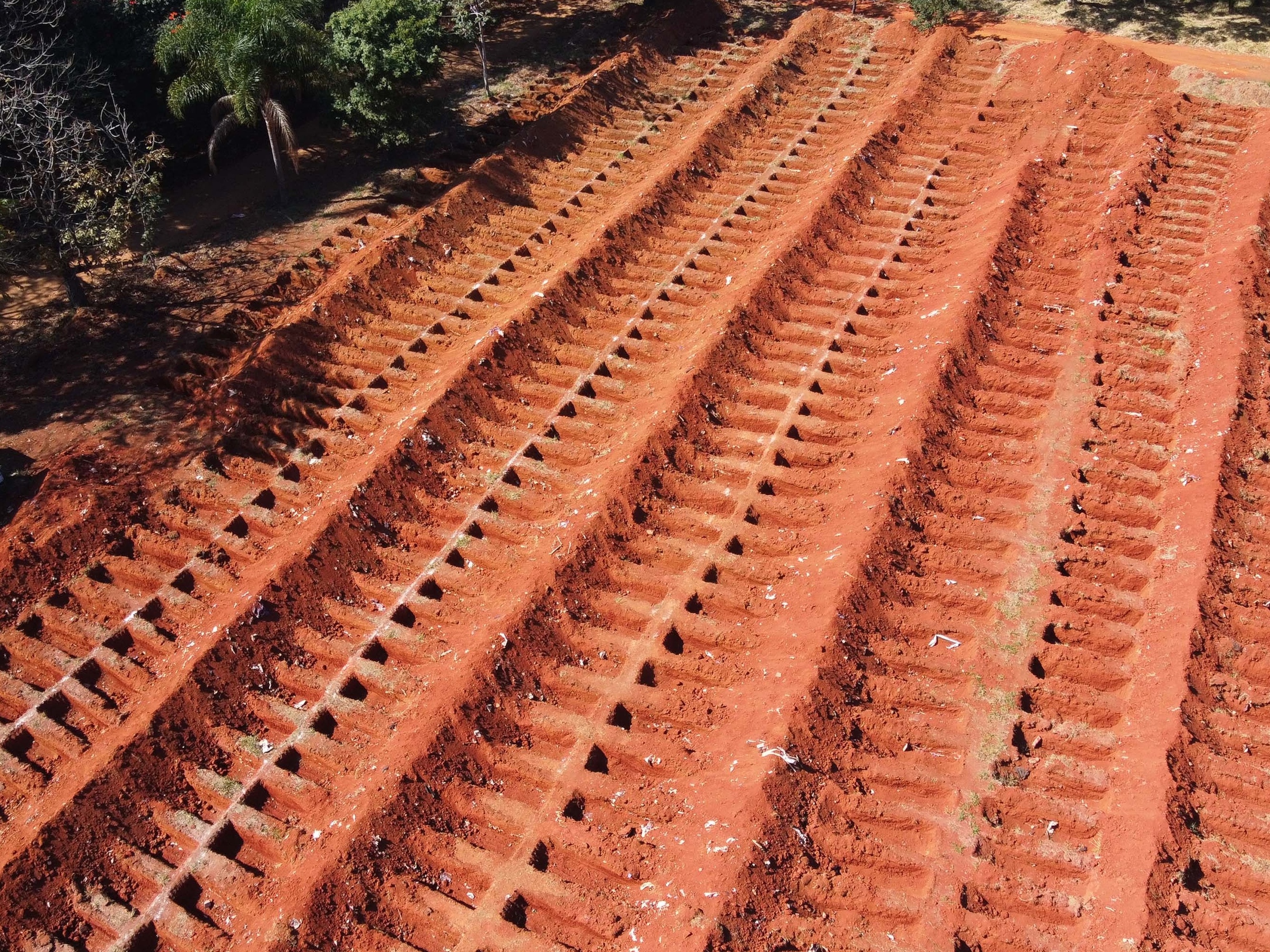 Casos de covid-19 e mortes crescem mais onde comércio foi reaberto em SP