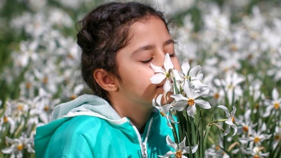 A que se deve a perda de olfato e qual é seu impacto emocional? - Getty Images