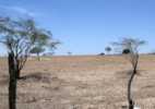 Mudança do clima acelera criação de deserto do tamanho da Inglaterra no Nordeste - Ascom/Governo de Alagoas