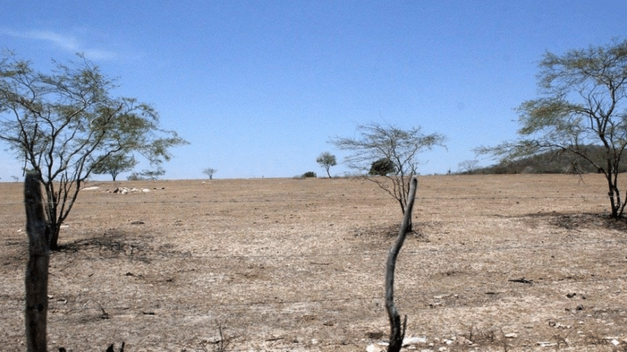 Área desertificada no interior de Alagoas, onde fenômeno atinge 32,8% de todo o território estadual, o maior percentual em todo o Semiárido - Ascom/Governo de Alagoas