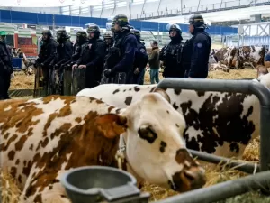 Entenda força e influência política de agricultores que protestam na França