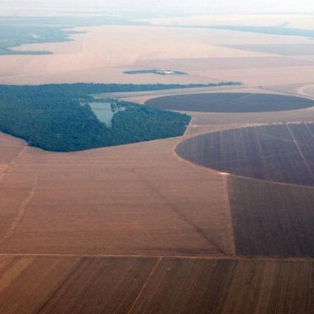 Vista aérea de plantação de soja no Mato Grosso - Paulo Whitaker