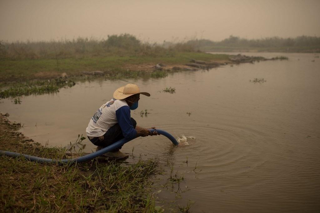 Images show fire in the Pantanal region, devastated by the fires that occurred in September 2020 - Mauro Pimentel / AFP