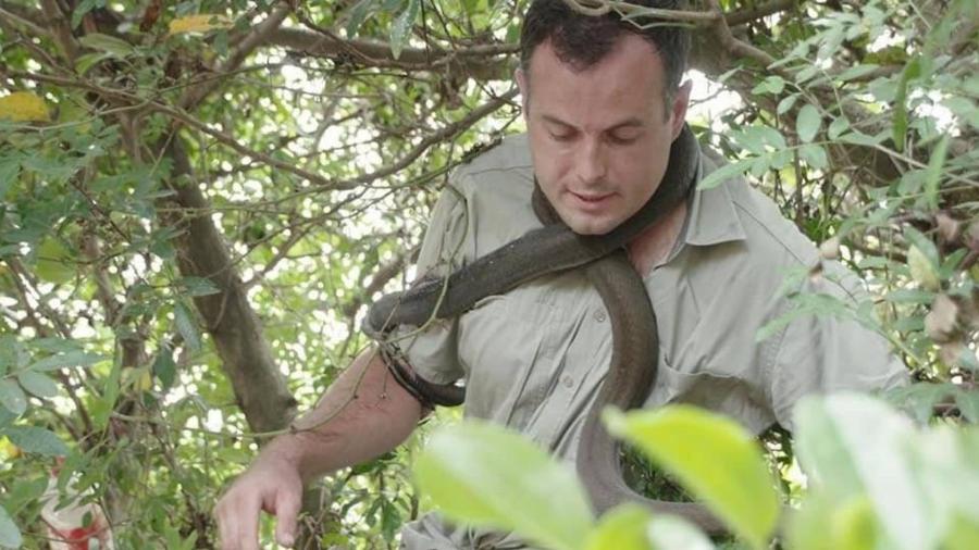Uma cobra mamba-negra de 3kg se enrolou no pescoço do resgatador de cobras Nick Evans - Reprodução/Facebook