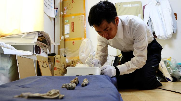 Rebun Kayo organiza fragmentos de ossos que encontrou na Ilha Ninoshima Rebun Kayo organiza fragmentos de ossos que encontrou na Ilha Ninoshima