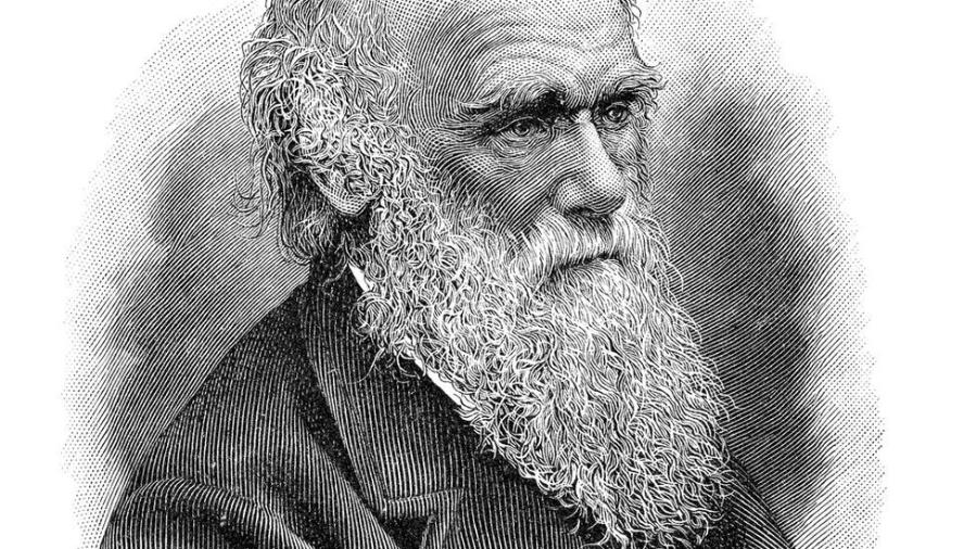 Charles Darwin é conhecido pela teoria da seleção natural - Getty Images