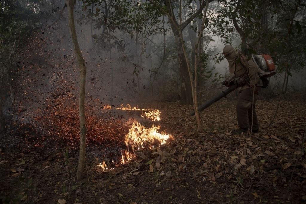 Images show fire in the Pantanal region, devastated by the fires that occurred in September 2020 - Mauro Pimentel / AFP