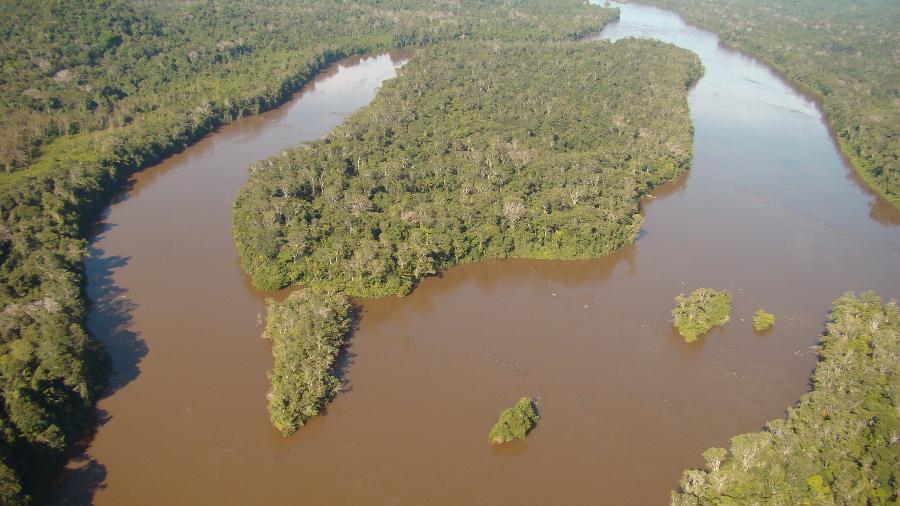 Caso ocorreu na Estação Ecológica de Maracá, em Roraima - Reprodução/ICMBio