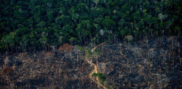 Área desmatada da Amazônia em Lábrea (AM)