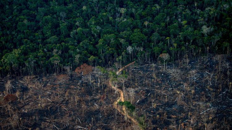 A vista aérea mostra uma área desmatada da Amazônia em Lábrea (AM) - MAURO PIMENTEL / AFP - MAURO PIMENTEL / AFP