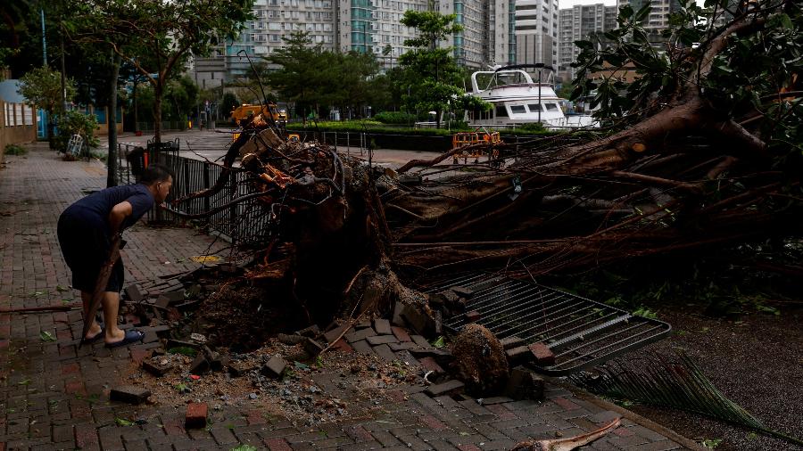 Homem observa árvore caída após a passagem do tufão Saola por Hong Kong