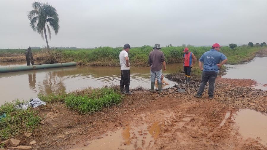 Produtores de arroz orgânico do MST ainda sofrem as consequências das chuvas do fim de 2023 no Rio Grande do Sul