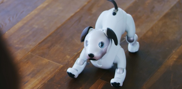 Cão-robô Aibo, da Sony - Reprodução