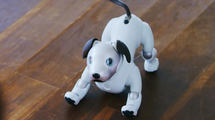 - 11jan2018 cao robo aibo da sony 1515669867736 v2 750x421 - Que tal? Assistente de voz vai resolver sua vida, e robôs a dos seus pets Reprodução - 11jan2018 cao robo aibo da sony 1515669867736 v2 750x421 - Que tal? Assistente de voz vai resolver sua vida, e robôs a dos seus pets