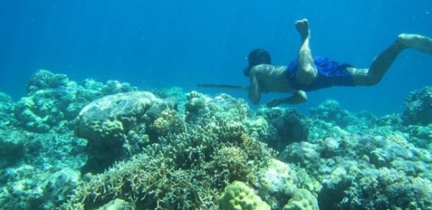 Megulhador bajau, na Ásia - Melissa Ilardo