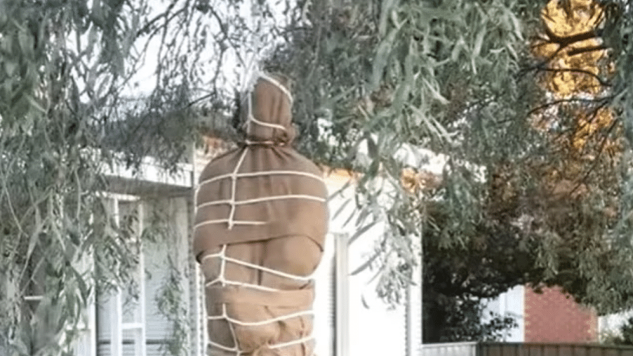 ´Corpo humano´ foi pendurado em árvore no quintal - Reprodução/ Facebook