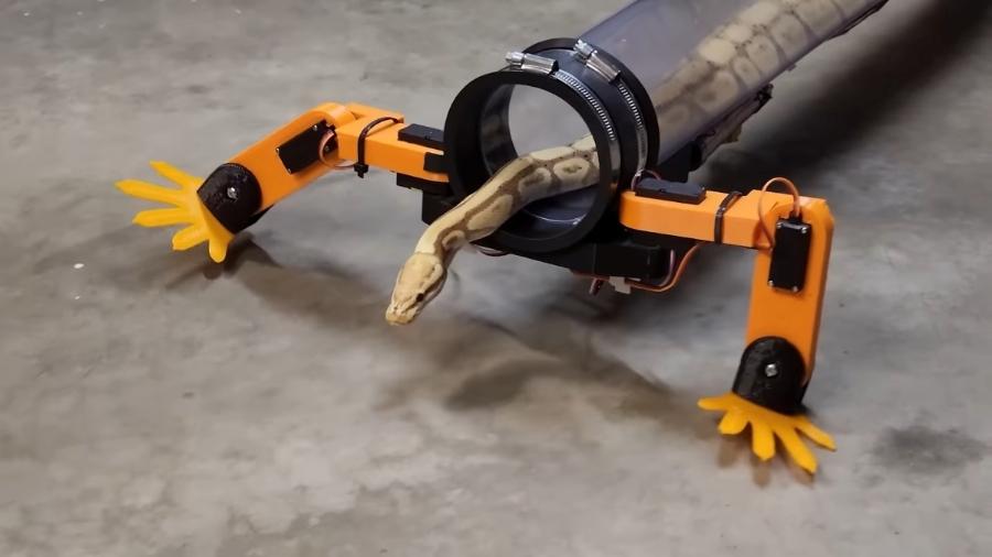 Youtuber Allen Pan criou uma estrutura com pernas robóticas para as cobras - Reprodução/Youtube