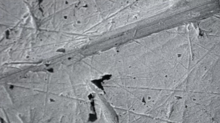 microscope - BBC NEWS - BBC NEWS