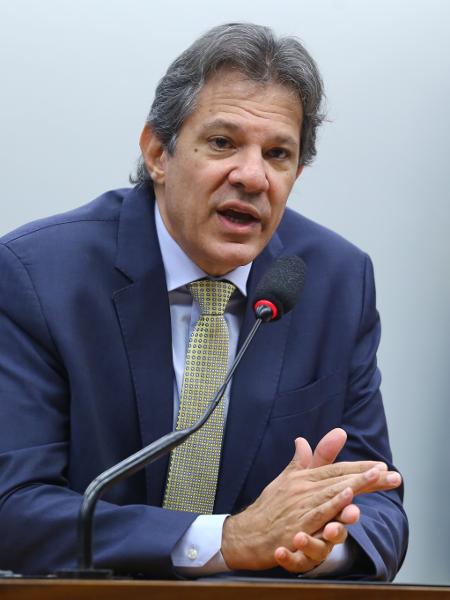Fernando Haddad, ministro da Fazenda, durante audiência na Câmara - Vinicius Loures / Câmara dos Deputados