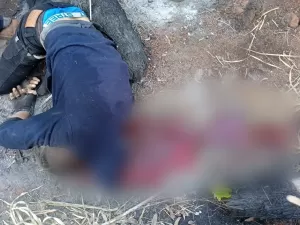 Indígena é morto com tiro na cabeça em novo ataque à área retomada no MS