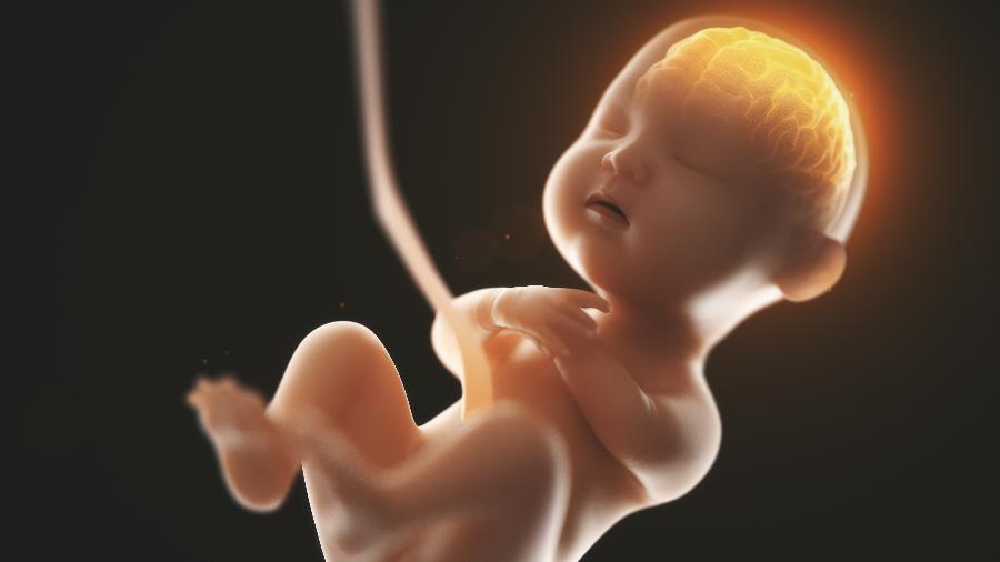 Protocolo para aumentar QI de bebês não tem evidência e traz riscos Protocolo para aumentar QI de bebês não tem evidência e traz riscos
